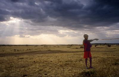 Schaf - Masai Jungen
